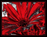 Gro&szlig;es Bild anzeigen