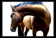 Gro&szlig;es Bild anzeigen